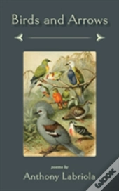 Birds And Arrows