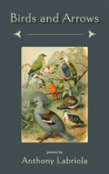 Birds And Arrows