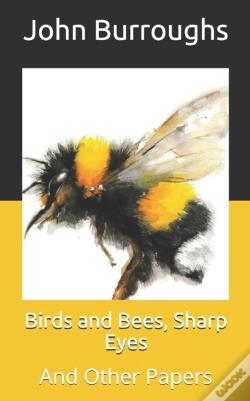 Capa do artigo Birds And Bees, Sharp Eyes