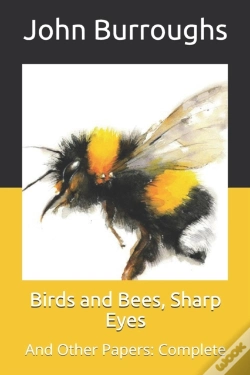 Capa do artigo Birds And Bees, Sharp Eyes
