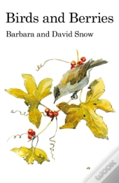Birds And Berries