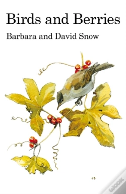 Capa do artigo Birds And Berries
