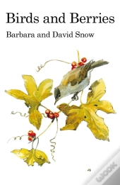 Birds And Berries