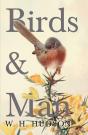 Birds And Man - Preview