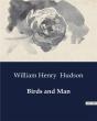 Birds And Man - Preview