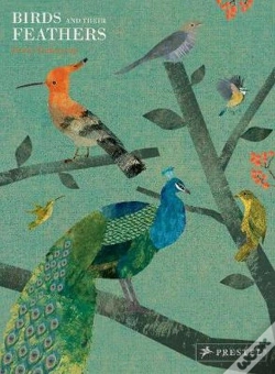 Capa do artigo Birds And Their Feathers