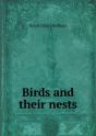 Birds And Their Nests - Preview