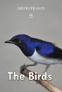 Birds - Preview