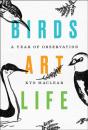 Birds Art Life - Preview