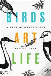 Capa do artigo Birds Art Life