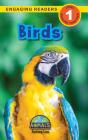 Birds - Preview