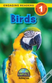 Capa do artigo Birds