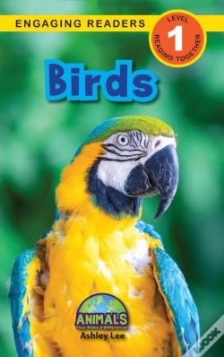 Capa do artigo Birds