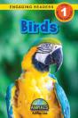 Birds - Preview