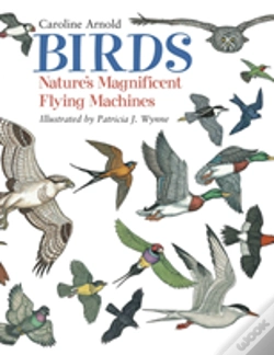 Capa do artigo Birds