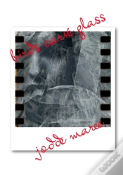 Capa do artigo Birds Carve Glass