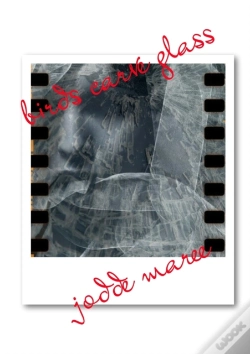 Capa do artigo Birds Carve Glass