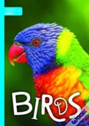Capa do artigo Birds