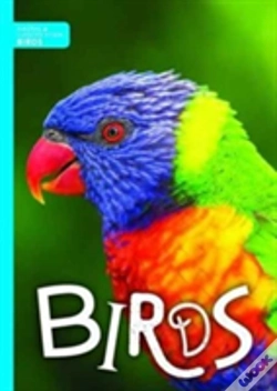 Capa do artigo Birds