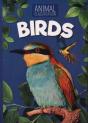 Birds - Preview