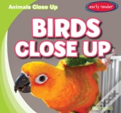 Capa do artigo Birds Close Up