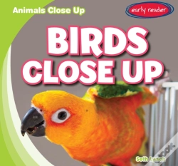 Capa do artigo Birds Close Up