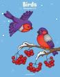 Birds Coloring Book 1, 2 & 3 - Preview