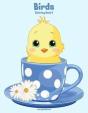 Birds Coloring Book 2 - Preview