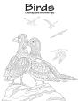 Birds Coloring Book For Grown-Ups 1 - Preview