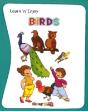 Birds - Preview