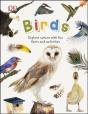 Birds - Preview