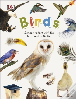 Capa do artigo Birds