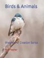 Birds & Animals - Preview