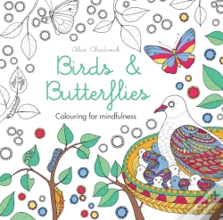 Capa do artigo Birds & Butterflies