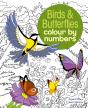 Birds & Butterflies Colour By Numbers - Preview