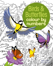 Capa do artigo Birds & Butterflies Colour By Numbers