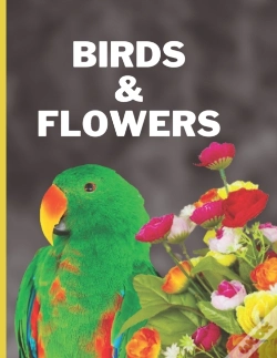 Capa do artigo Birds & Flowers