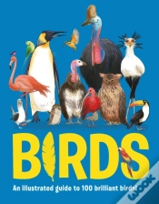 Capa do artigo Birds