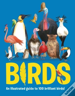 Capa do artigo Birds