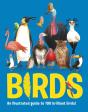 Birds - Preview