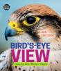 Bird'S-Eye View - Preview
