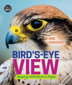 Capa do artigo Bird'S-Eye View