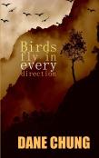 Birds Fly In Every Direction