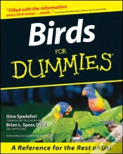 Capa do artigo Birds For Dummies