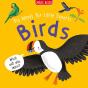 Birds - Preview
