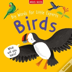 Capa do artigo Birds