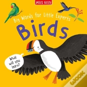 Capa do artigo Birds