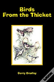 Capa do artigo Birds From The Thicket