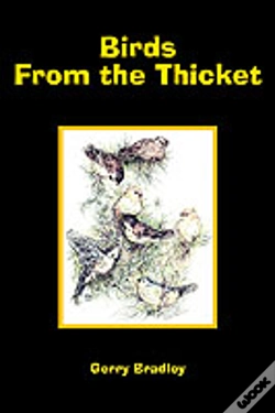 Capa do artigo Birds From The Thicket