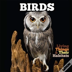 Capa do artigo Birds